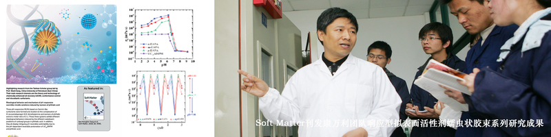 Soft Matter连续刊发...